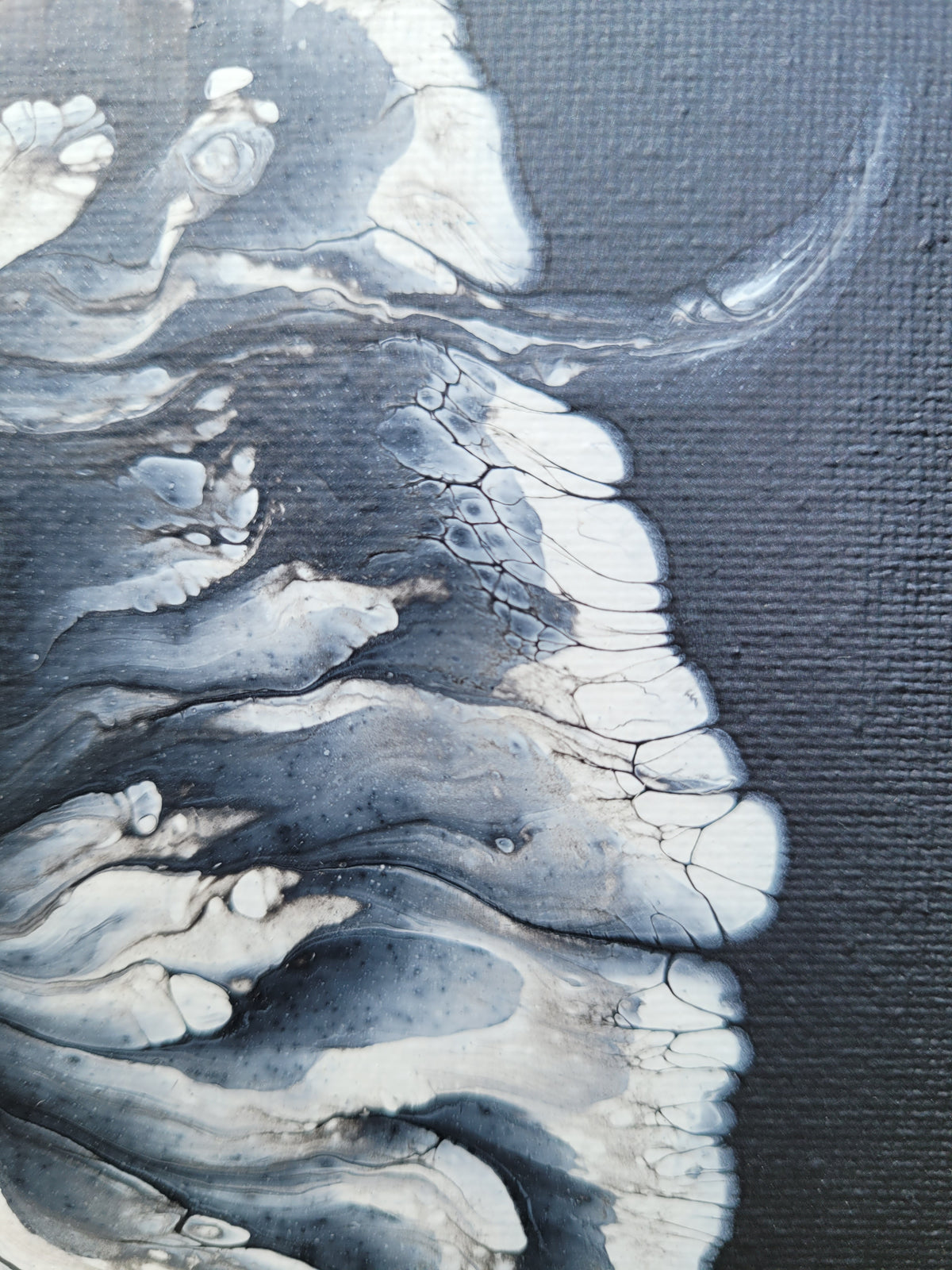 Unfolding into Light, 6 x 6