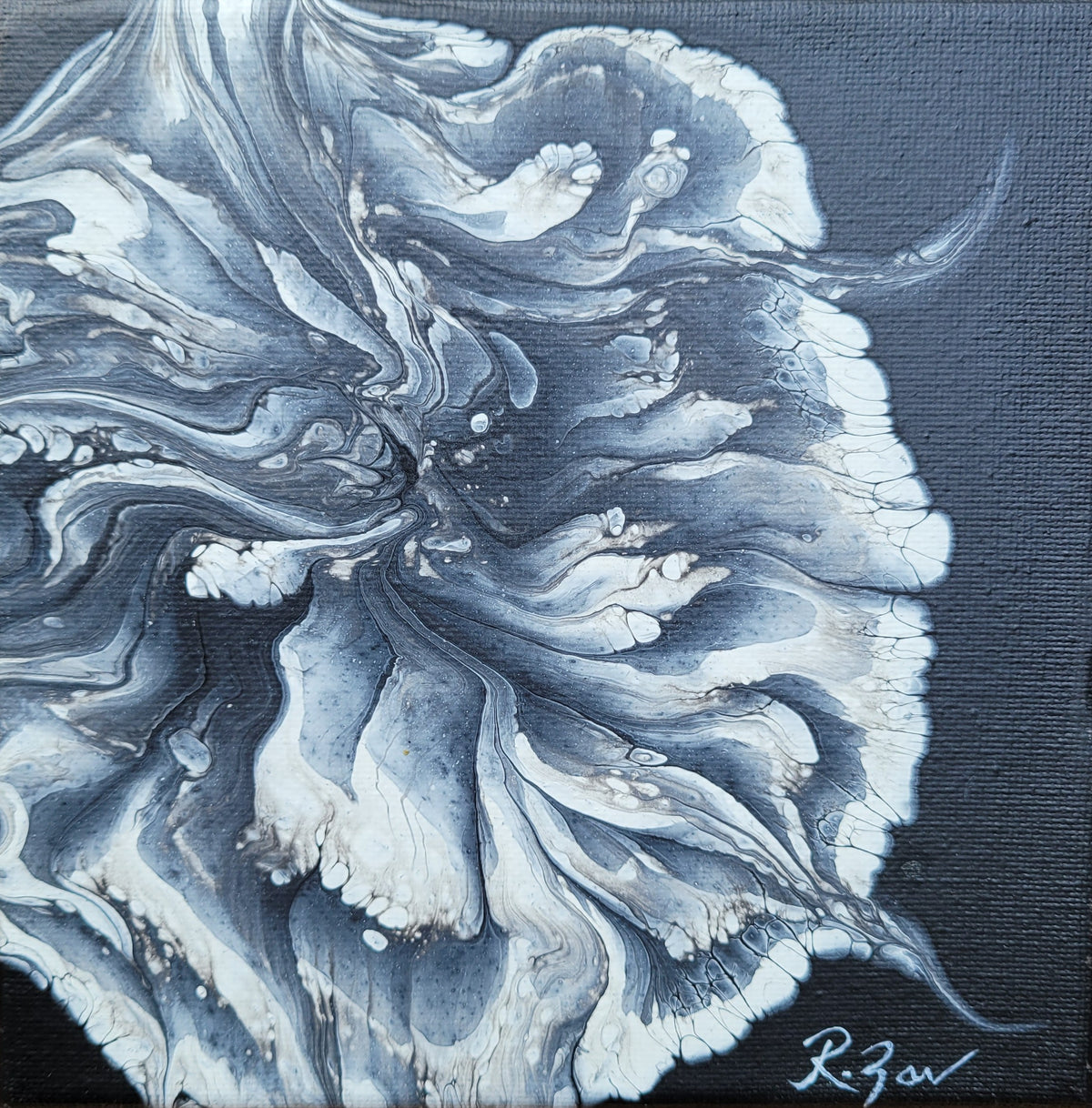 Unfolding into Light, 6 x 6